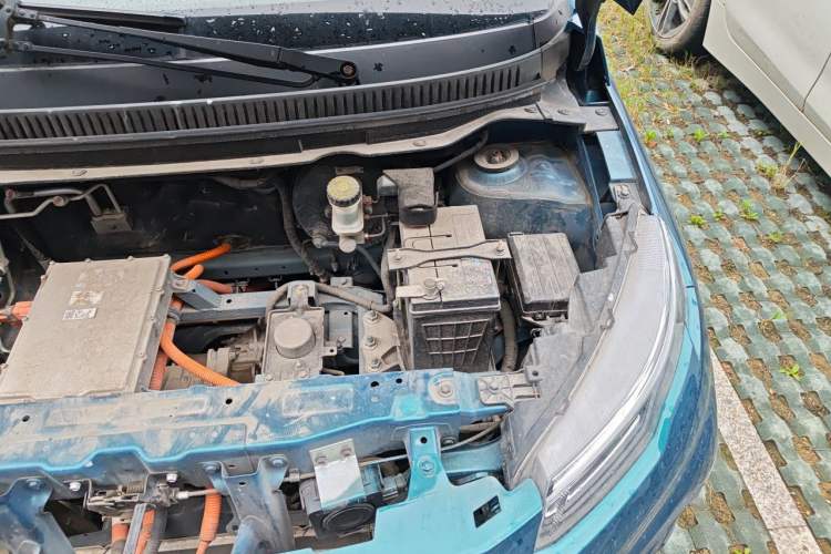 Used Dayun Yuehu 2022 300 Standard Edition Engine Bay Left