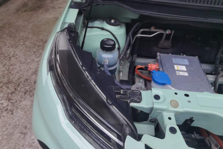 Used Dayun Yuehu 2022 300 Standard Edition Engine Bay Right