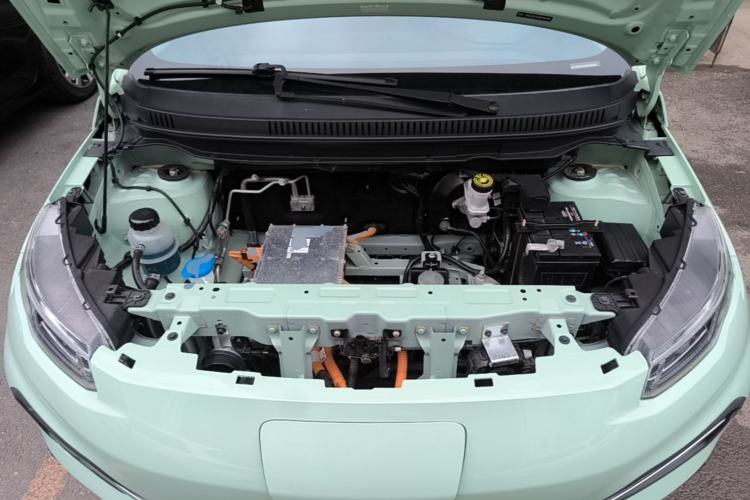 Used Dayun Yuehu 2022 30.66 kWh Two-Wheel Drive Standard Version Engine Bay