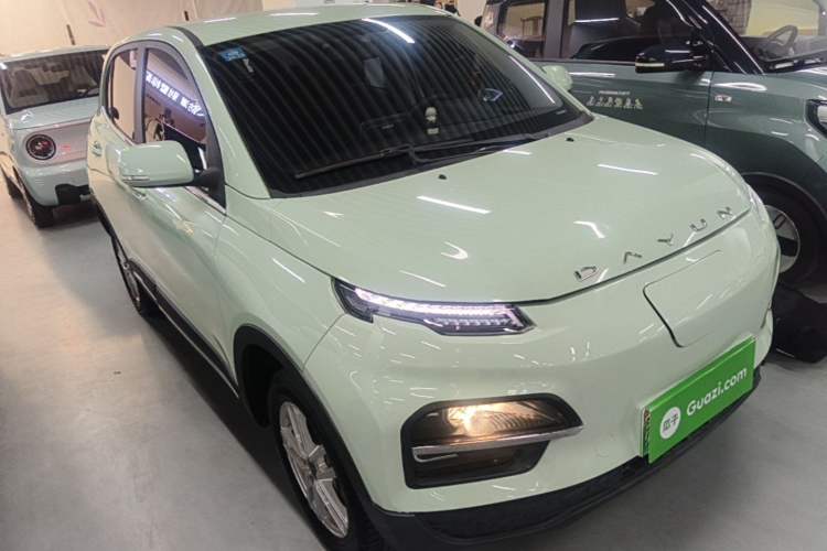 Used Dayun Yuehu 2022 300 Standard Edition Exterior 1