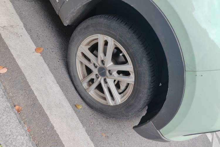 Used Dayun Yuehu 2022 300 Standard Edition Exterior 1