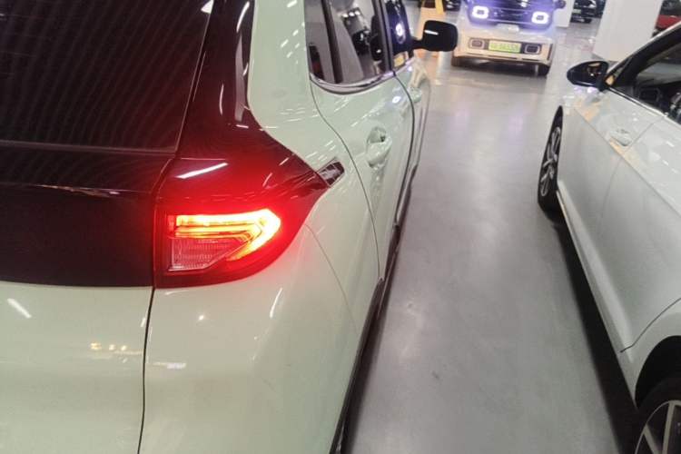 Used Dayun Yuehu 2022 300 Standard Edition Exterior 3