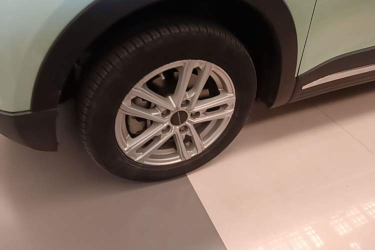 Used Dayun Yuehu 2022 300 Standard Edition Exterior 4