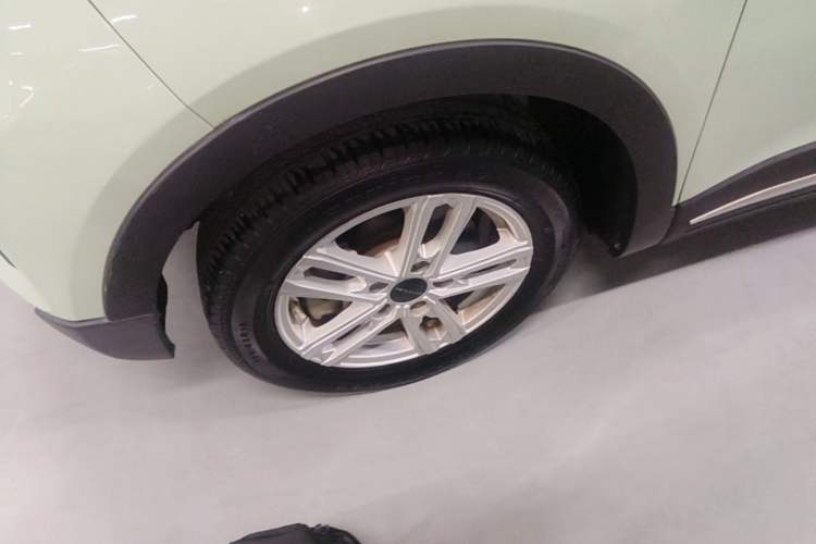 Used Dayun Yuehu 2022 300 Standard Edition Exterior 4