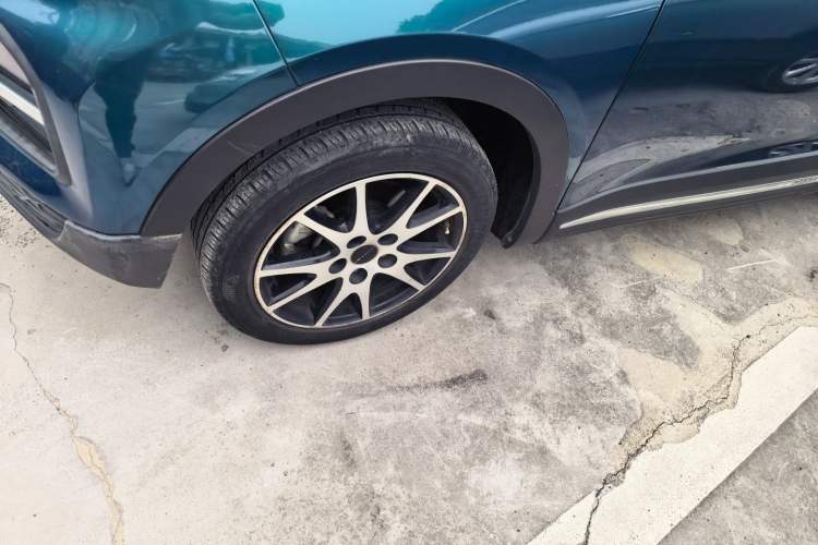 Used Dayun Yuehu 2022 30.66 kWh Two-Wheel Drive VIP Edition Exterior 4