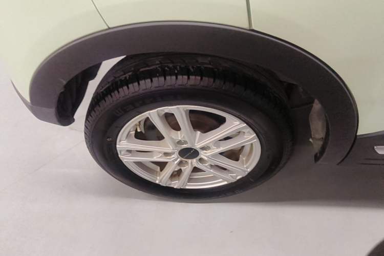 Used Dayun Yuehu 2022 300 Standard Edition Exterior 5