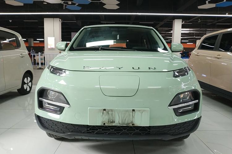 Used Dayun Yuehu 2022 30.66 kWh Two-Wheel Drive Standard Version Front