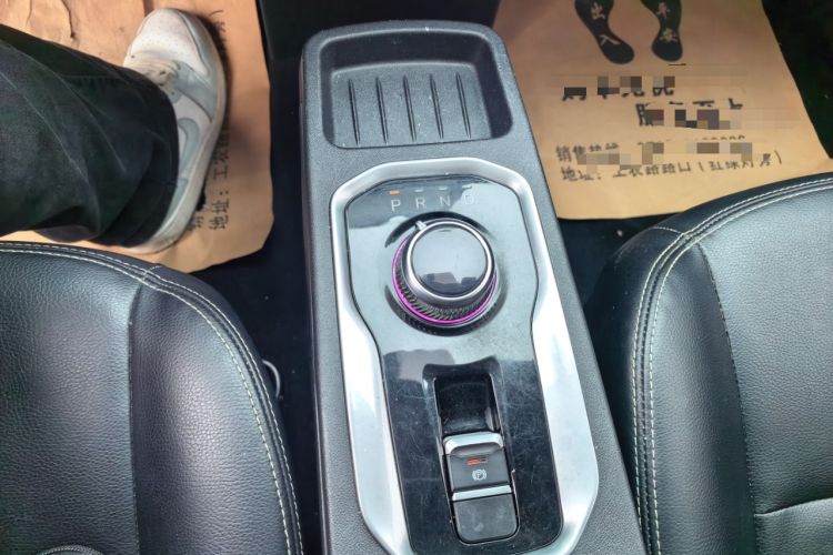 Used Dayun Yuehu 2022 30.66 kWh Two-Wheel Drive VIP Edition Gear Lever