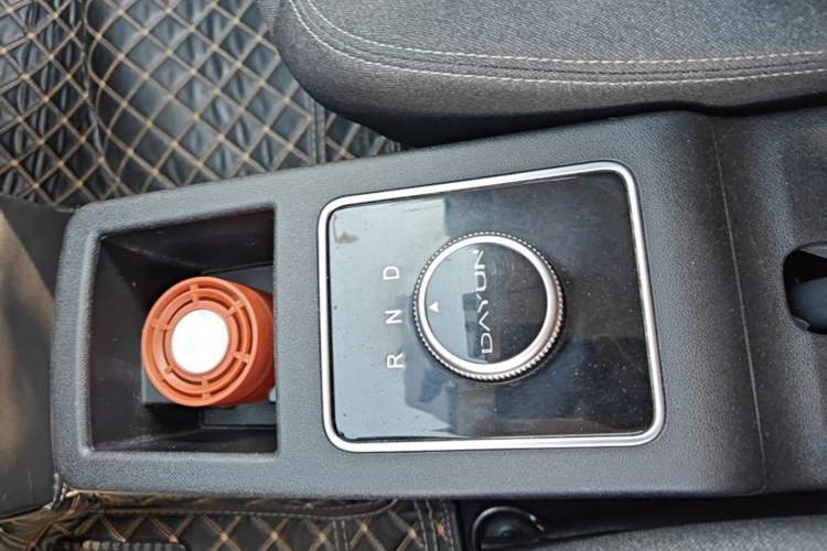 Used Dayun Yuehu 2022 30.66 kWh Two-Wheel Drive Standard Version Gear Lever
