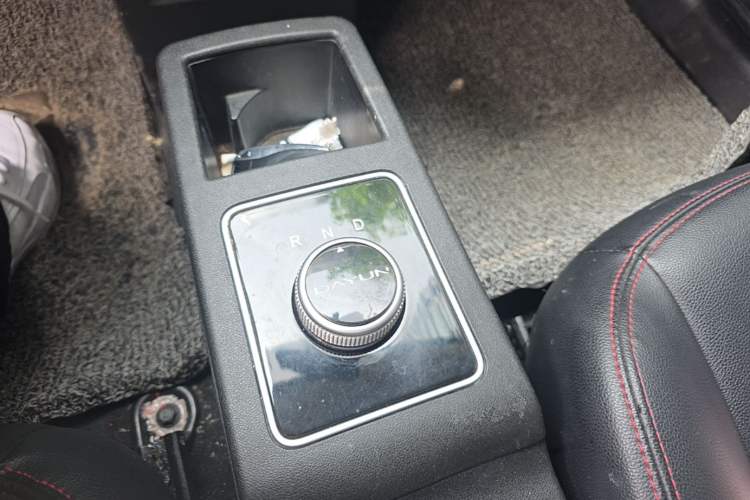 Used Dayun Yuehu 2022 30.66 kWh Two-Wheel Drive Standard Version Gear Lever