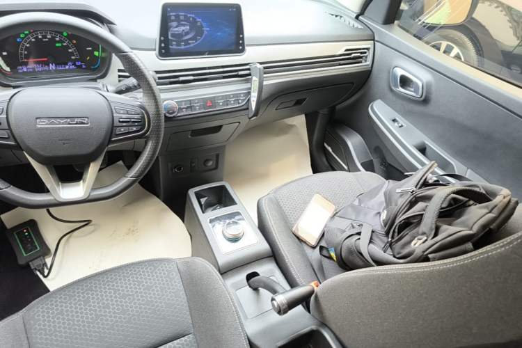 Used Dayun Yuehu 2022 30.66 kWh Two-Wheel Drive Standard Version Gear Lever