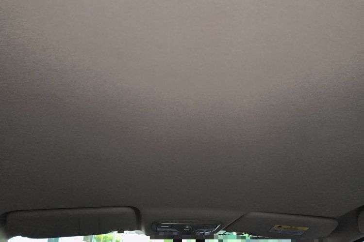 Used Dayun Yuehu 2022 30.66 kWh Two-Wheel Drive Standard Version Headliner