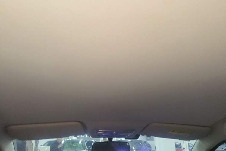 Used Dayun Yuehu 2022 300 Standard Edition Headliner