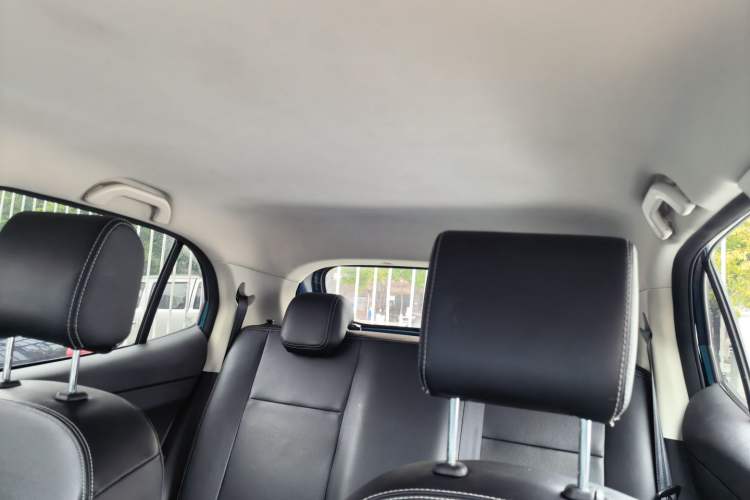 Used Dayun Yuehu 2022 30.66 kWh Two-Wheel Drive VIP Edition Headliner