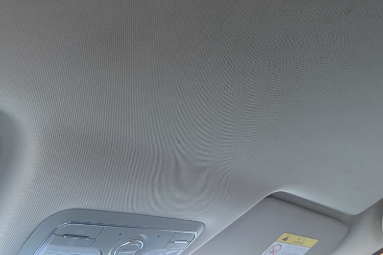 Used Dayun Yuehu 2022 30.66 kWh Two-Wheel Drive Standard Version Headliner
