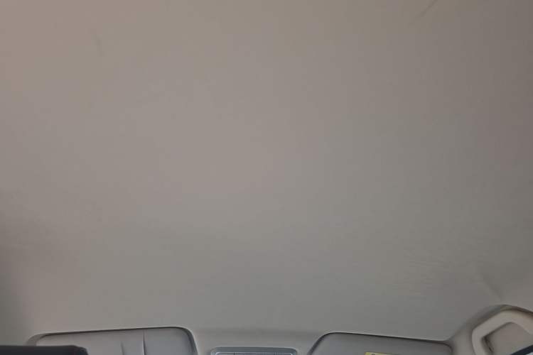 Used Dayun Yuehu 2022 30.66 kWh Two-Wheel Drive Standard Version Headliner