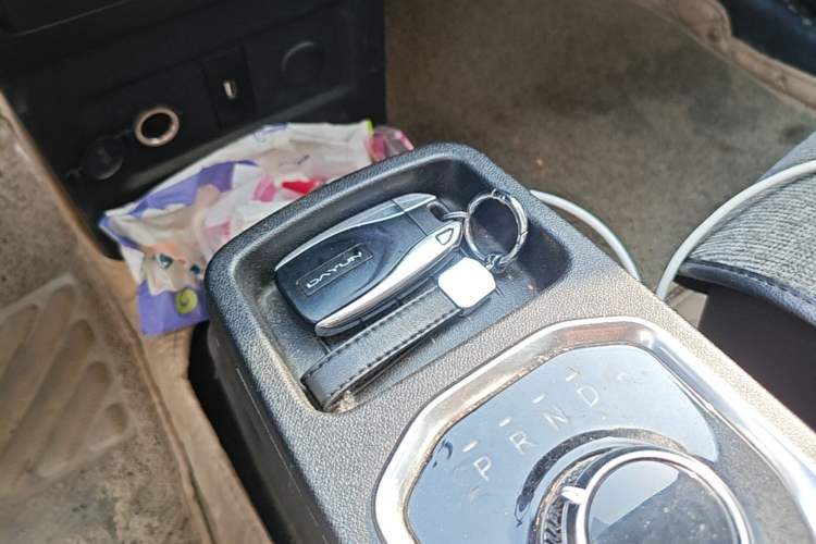 Used Dayun Yuehu 2022 330 VIP Edition Interior 1