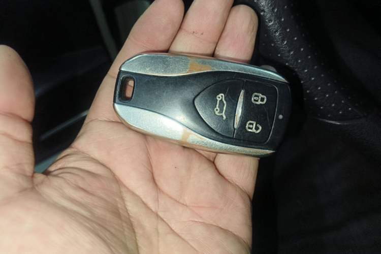 Used Dayun Yuehu 2022 300 Standard Edition Interior 1