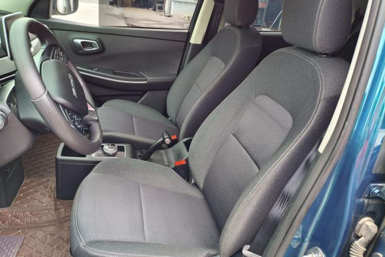 Used Dayun Yuehu 2022 30.66 kWh Two-Wheel Drive Standard Version Interior 4