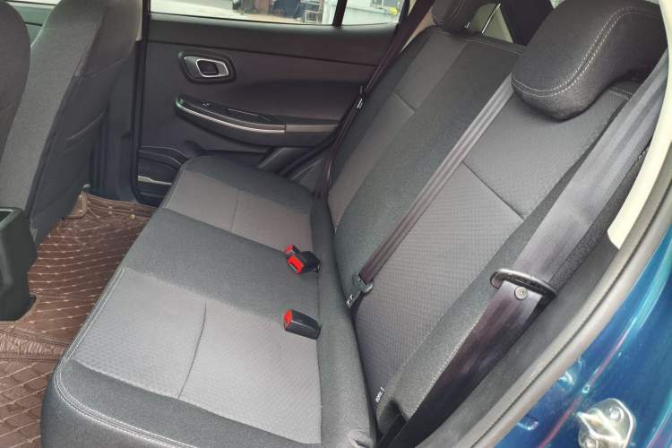 Used Dayun Yuehu 2022 30.66 kWh Two-Wheel Drive Standard Version Interior 5