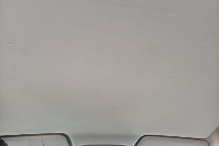 Used Dayun Yuehu 2022 30.66 kWh Two-Wheel Drive Standard Version Interior 6