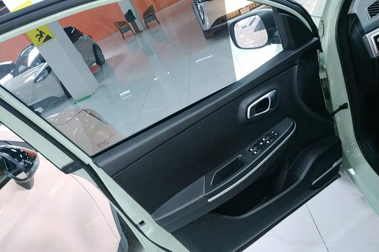 Used Dayun Yuehu 2022 30.66 kWh Two-Wheel Drive Standard Version Left Front Door Interior