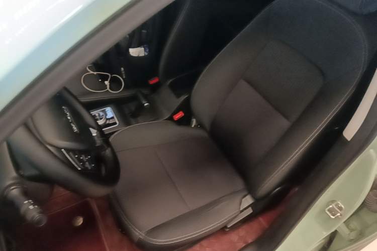 Used Dayun Yuehu 2022 300 Standard Edition Left Front Seat