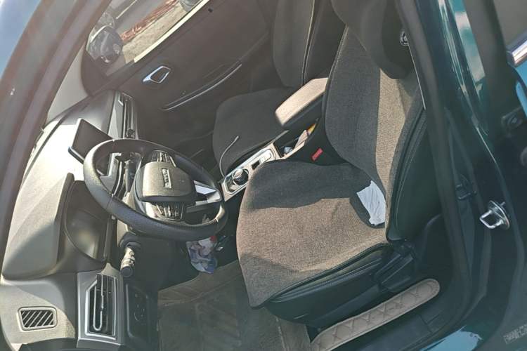 Used Dayun Yuehu 2022 330 VIP Edition Left Front Seat