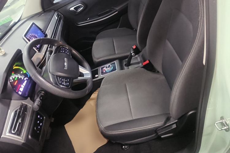 Used Dayun Yuehu 2022 300 Standard Edition Left Front Seat