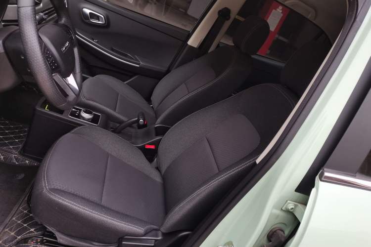 Used Dayun Yuehu 2022 330 Standard Edition Left Front Seat