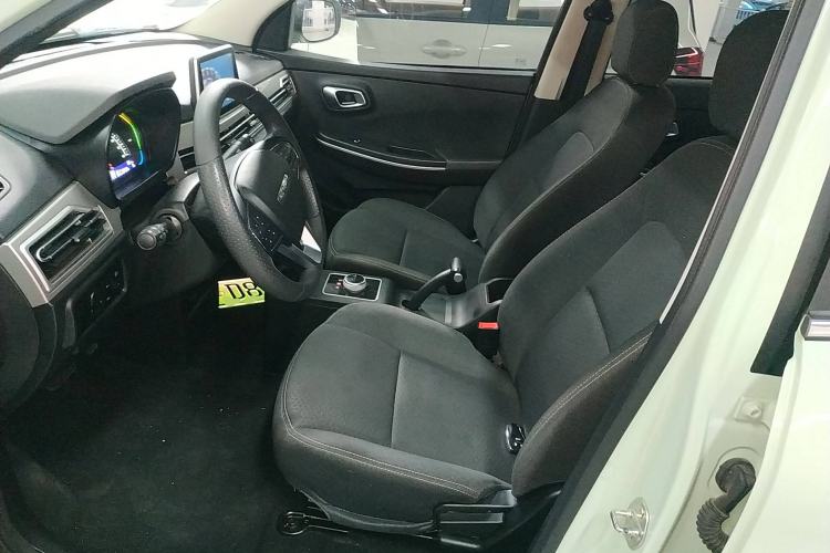 Used Dayun Yuehu 2022 30.66 kWh Two-Wheel Drive Standard Version Left Front Seat