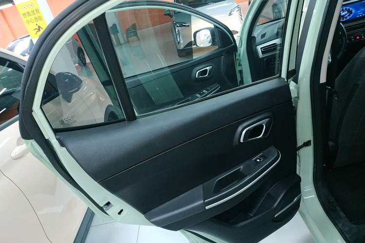 Used Dayun Yuehu 2022 30.66 kWh Two-Wheel Drive Standard Version Left Rear Door Interior