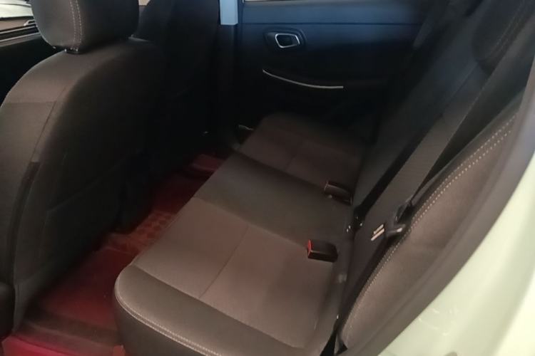Used Dayun Yuehu 2022 300 Standard Edition Left Rear Seat