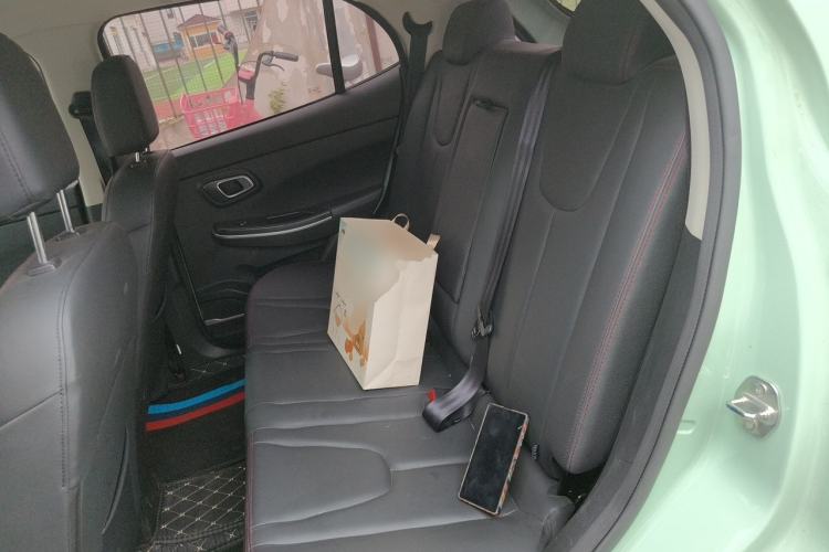 Used Dayun Yuehu 2022 30.66 kWh Two-Wheel Drive VIP Edition Left Rear Seat