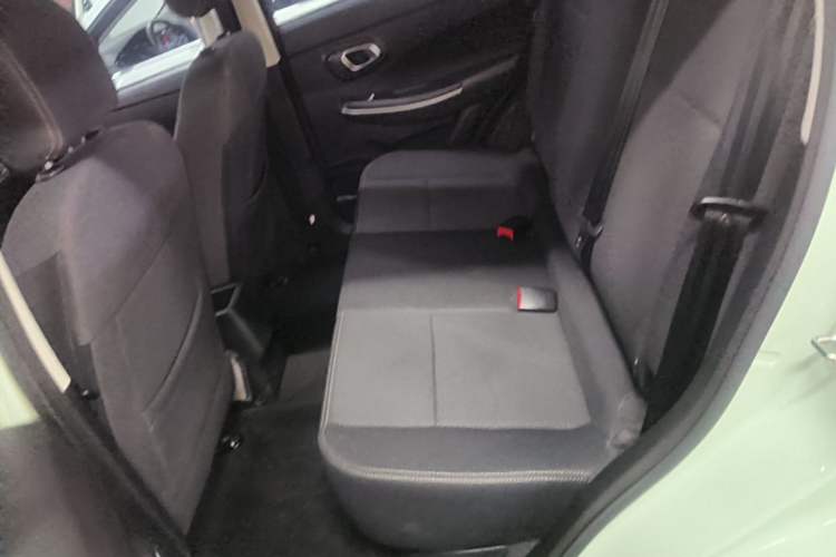 Used Dayun Yuehu 2022 300 Standard Edition Left Rear Seat