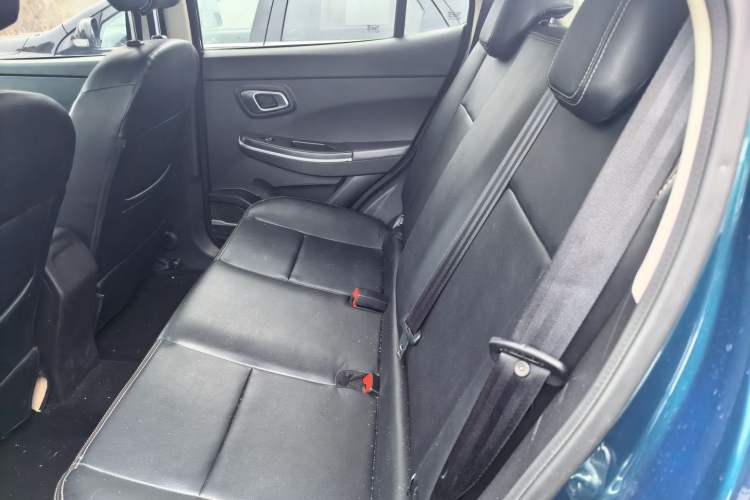 Used Dayun Yuehu 2022 30.66 kWh Two-Wheel Drive VIP Edition Left Rear Seat
