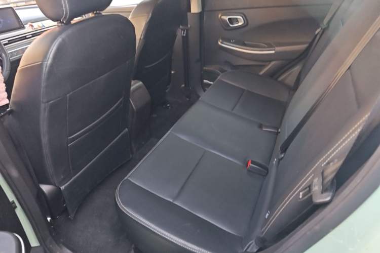 Used Dayun Yuehu 2022 Revised Version 30.66 kWh Two-Wheel Drive Luxury Edition Left Rear Seat
