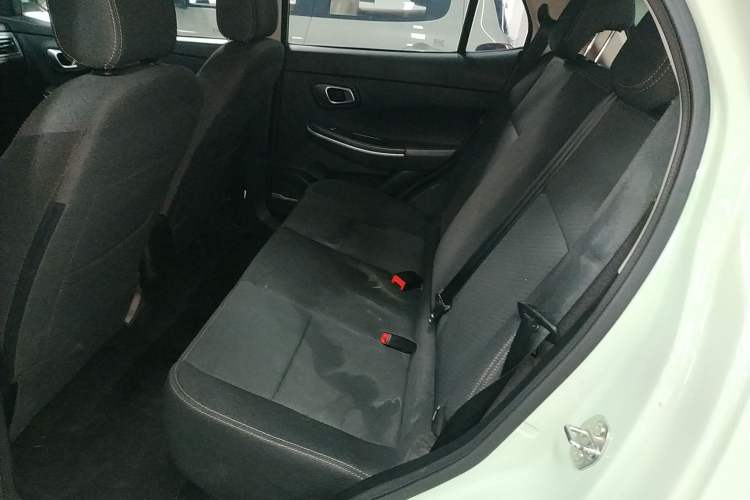 Used Dayun Yuehu 2022 30.66 kWh Two-Wheel Drive Standard Version Left Rear Seat