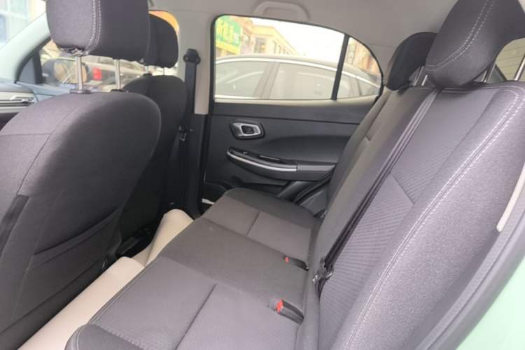 Used Dayun Yuehu 2022 30.66 kWh Two-Wheel Drive Standard Version Left Rear Seat