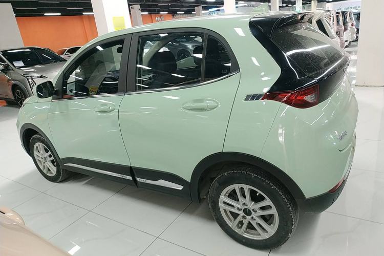 Used Dayun Yuehu 2022 30.66 kWh Two-Wheel Drive Standard Version Left Side
