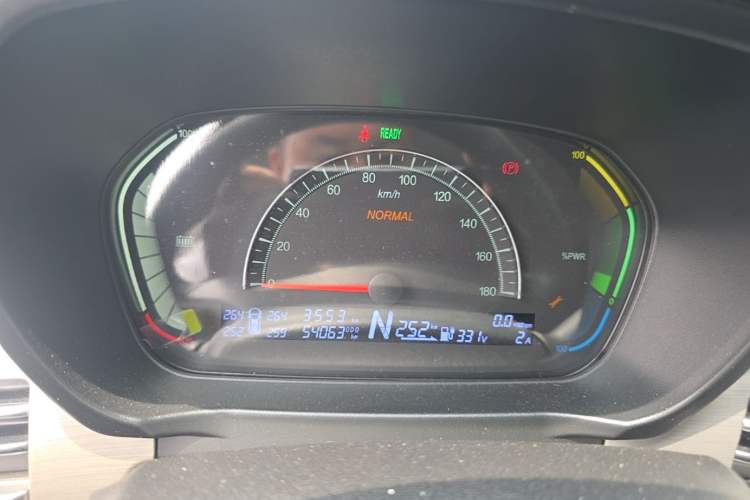 Used Dayun Yuehu 2022 30.66 kWh Two-Wheel Drive Standard Version Odometer Close Up