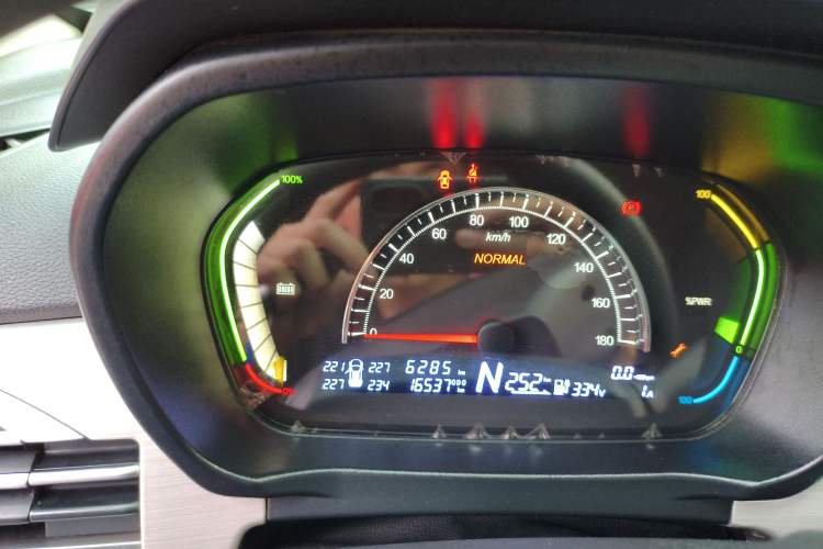 Used Dayun Yuehu 2022 30.66 kWh Two-Wheel Drive Standard Version Odometer Close Up
