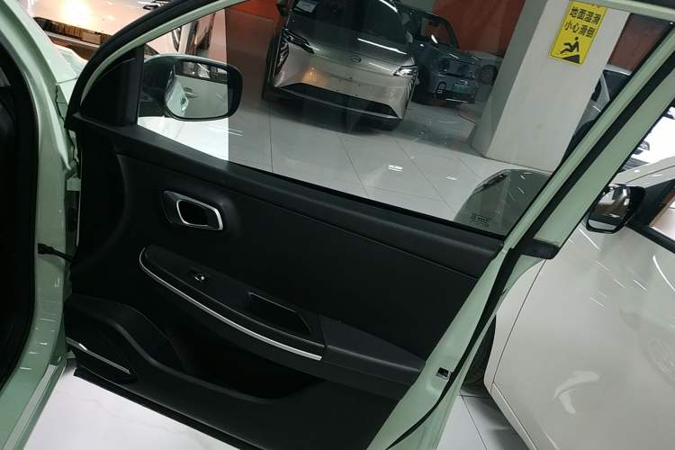 Used Dayun Yuehu 2022 30.66 kWh Two-Wheel Drive Standard Version Right Front Door Interior