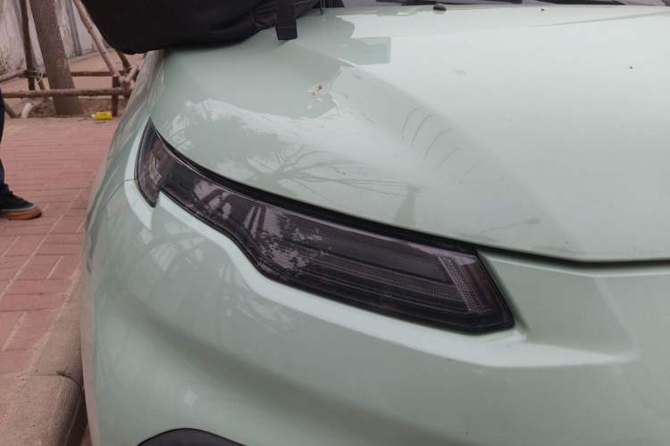 Used Dayun Yuehu 2022 30.66 kWh Two-Wheel Drive VIP Edition Right Front Headlight