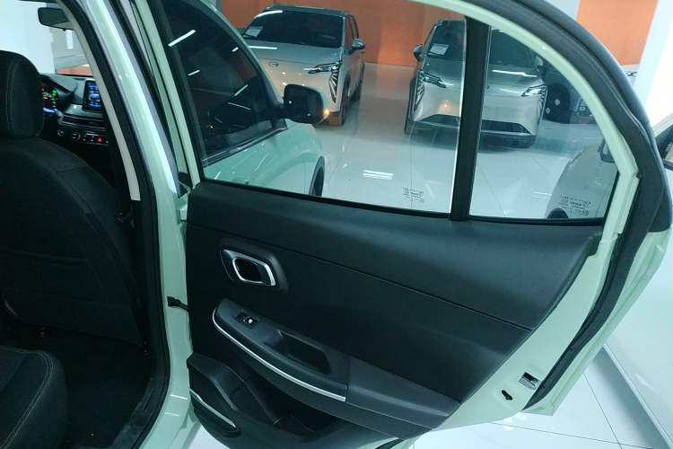 Used Dayun Yuehu 2022 30.66 kWh Two-Wheel Drive Standard Version Right Rear Door Interior