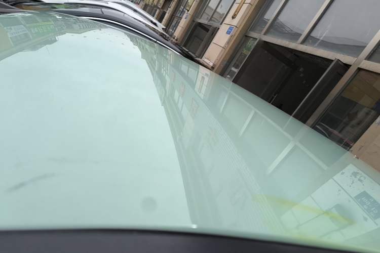 Used Dayun Yuehu 2022 30.66 kWh Two-Wheel Drive Standard Version Roof