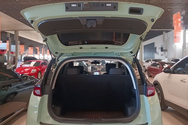 Used Dayun Yuehu 2022 300 Standard Edition Trunk