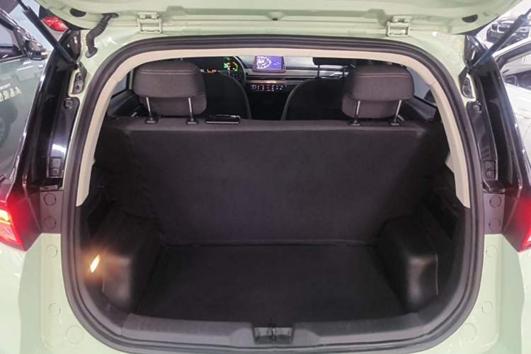 Used Dayun Yuehu 2022 300 Standard Edition Trunk