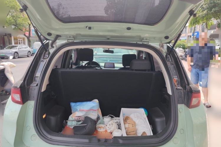 Used Dayun Yuehu 2022 300 Standard Edition Trunk