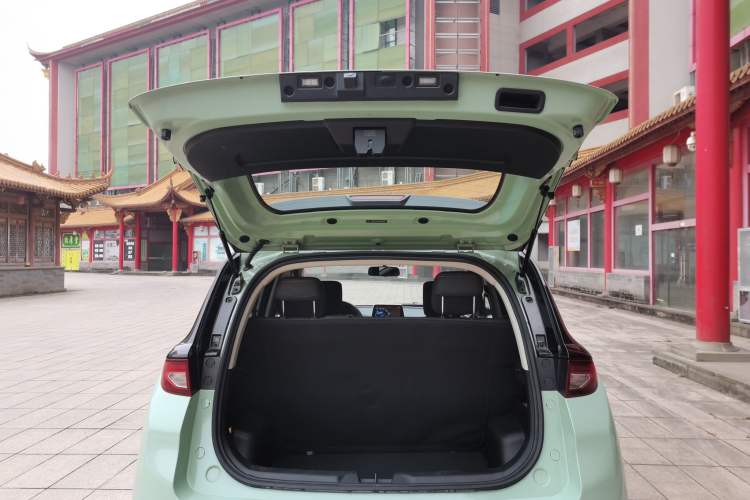 Used Dayun Yuehu 2022 330 Standard Edition Trunk